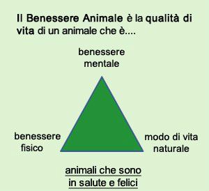 Tratto dal sito http://www.ciwf.it/animali/benessere-animale/
