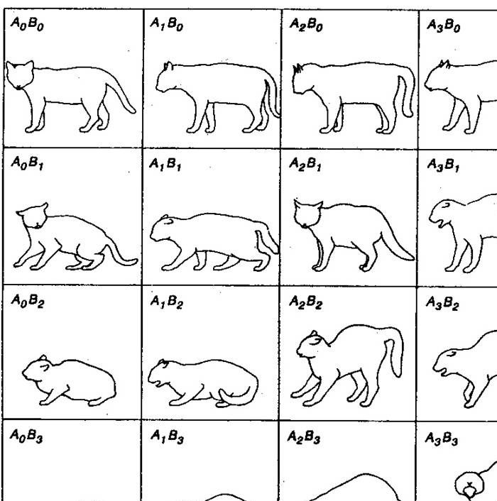 SCHEMA  DI SOVRAPPOSIZIONE DELLA DISPOSIZIONE ALL’ATTACCO E ALLA DIFESA DEL GATTO: POSTURE CORPOREE