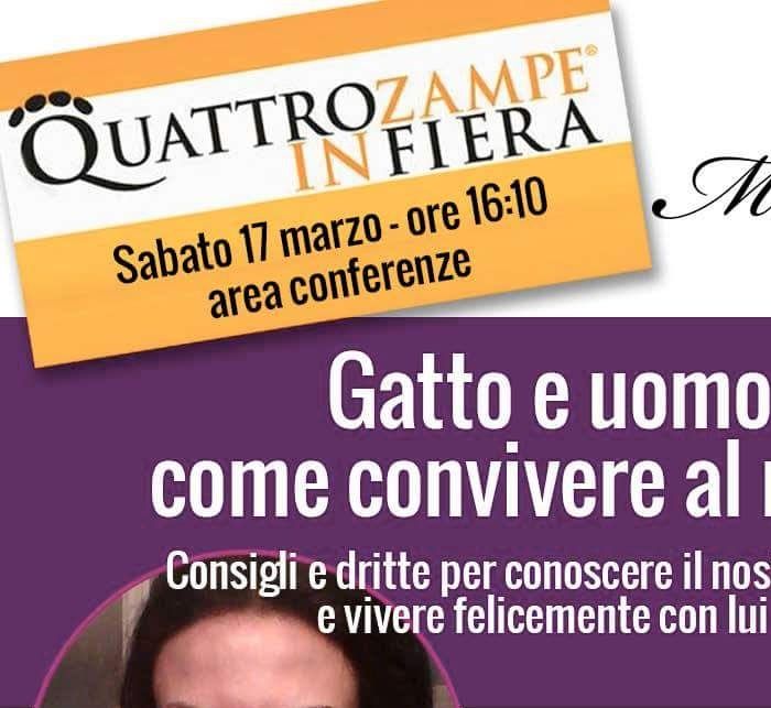 https://www.miciogatto.it/quattrozampefiera-roma-2018/