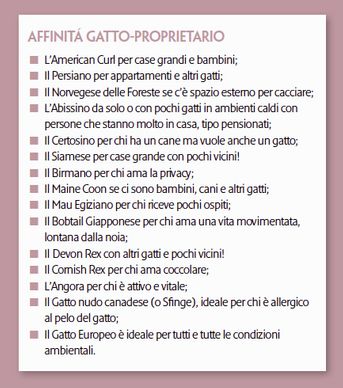 Tratto dal mio articolo per la rivista 