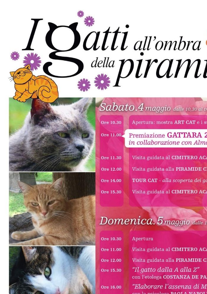 Ore 15:30 del 5 maggio 2019 mio intervento alla colonia felina de I Gatti della Piramide 