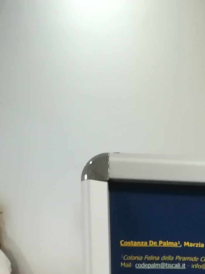 Poster presentato al XXVIII Convegno Nazionale della Società Italiana di Etologia (Firenze 2019) 