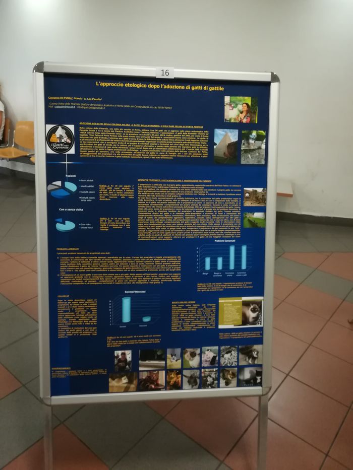 Poster presentato al XXVIII Convegno Nazionale della Società Italiana di Etologia (Firenze 2019) 
